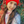 mini profile avatar