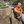 mini profile avatar