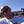 mini profile avatar