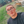 mini profile avatar