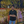 mini profile avatar
