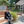 mini profile avatar