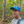 mini profile avatar