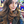 mini profile avatar