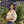 mini profile avatar