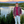mini profile avatar