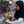 mini profile avatar