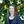 mini profile avatar