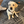 mini profile avatar
