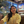 mini profile avatar