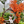 mini profile avatar
