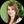 mini profile avatar