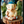 mini profile avatar