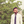 mini profile avatar