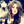 mini profile avatar