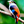 mini profile avatar