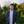 mini profile avatar