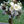 mini profile avatar