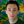 mini profile avatar