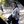 mini profile avatar