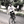 mini profile avatar