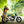 mini profile avatar