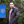mini profile avatar