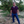 mini profile avatar