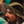 mini profile avatar