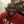 mini profile avatar