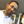 mini profile avatar