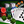 mini profile avatar