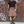 mini profile avatar