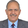Abdelfattah  Badr