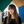 mini profile avatar