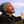 mini profile avatar