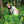 mini profile avatar