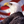 mini profile avatar