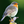 mini profile avatar