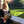 mini profile avatar