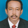 Abdel Moneim Elhadi Sulieman