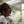mini profile avatar