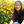 mini profile avatar