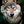 mini profile avatar
