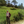 mini profile avatar