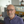 mini profile avatar